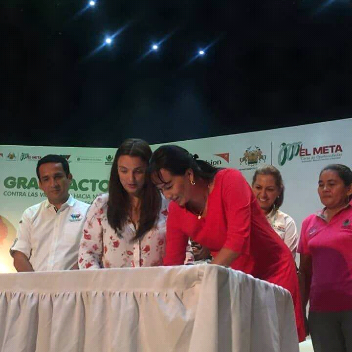 Gran Pacto contra violencias — Departamento del Meta